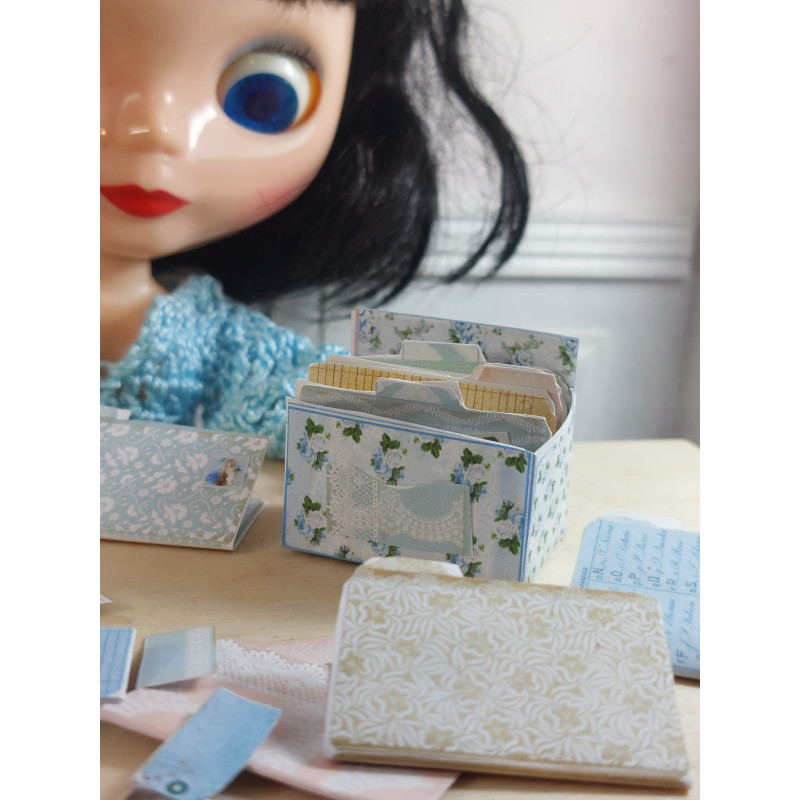 Dolls 1:6 File box with dividers.2