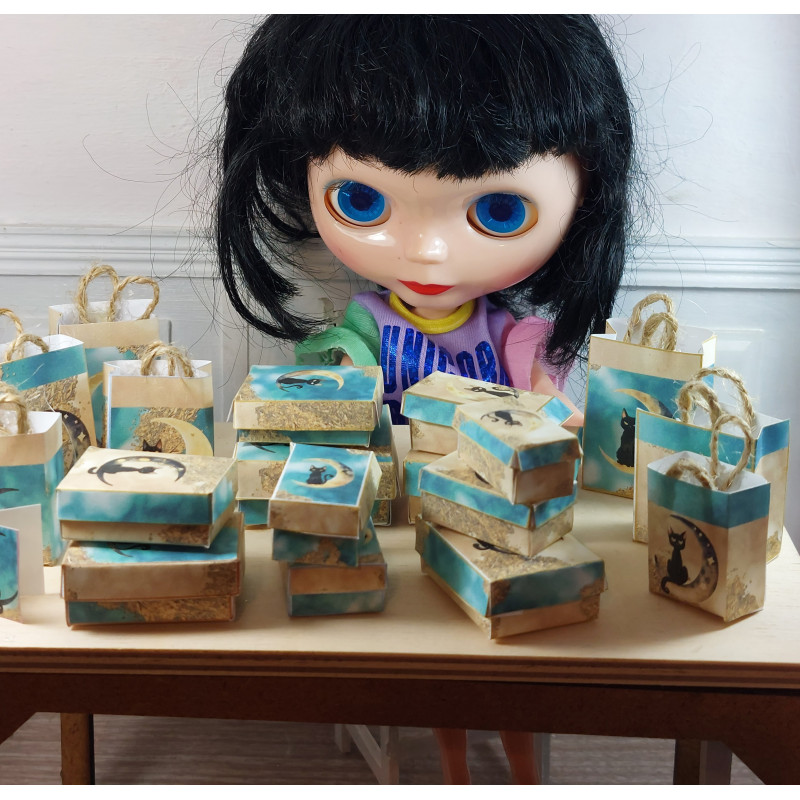 Dolls 1:6 .Blythe. Boxes and bags set. CAT MOON