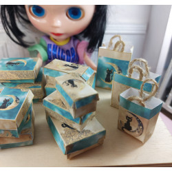 Dolls 1:6 .Blythe. Boxes and bags set. CAT MOON
