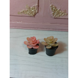 1:6 scale dolls. Lot of 2 decorative cacti. A