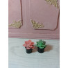 Muñecas escala 1:6 .Lote 2 cactus decorativos.  B