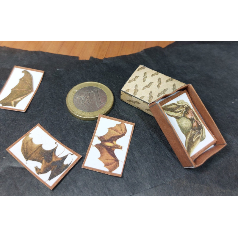 1:12 doll house. Box with illustrations of bats.