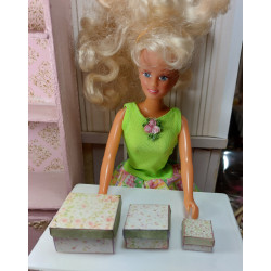 1:6 .Poupées Barbie. Lot de 3 coffrets cadeaux. SHABBY V
