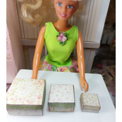 1:6 .Poupées Barbie. Lot de 3 coffrets cadeaux. SHABBY V