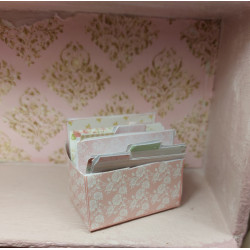 Dolls 1:6 File box with dividers.
