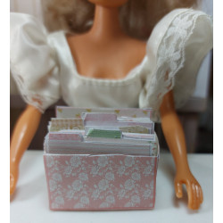 Dolls 1:6 File box with...