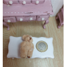 Doll house. Miniatures 1:12. TOYS. Teddy bear