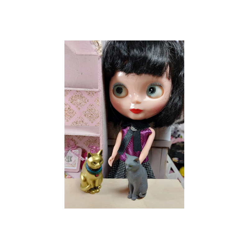 1:6 Barbie dolls. Blyth. Lovely decorative cats