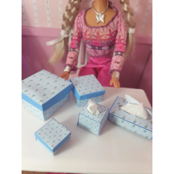 Dolls 1:6 .Barbie. Set of gift boxes and tissues. PETER RABBIT