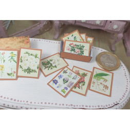Dolls 1:6. Blythe. Box with FLOWERS illustrations