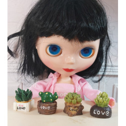 Poupées1:6.Blythe.Petit cactus de table.N1