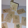 Dolls 1:6.Folder with illustrations MEDICINAL PLANTS