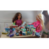 Barbie 1:6 scale dolls. Home assortment boxes.