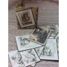 Doll Houses 1:12. Folder illustrations MYTHICAL CREATURES